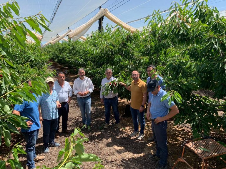 El delegado Provincial de Agua y Desarrollo Rural visita la empresa hellinera Fruralinda S.L.