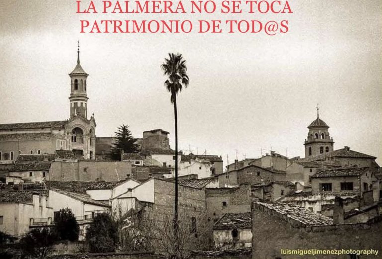 Se denuncia ante la Consejería de Educación y Cultura la extracción y traslado de la palmera de “La Huerta del Río”