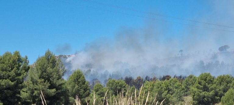 Se declara un importante incendio junto a la pedanía hellinera de Agra