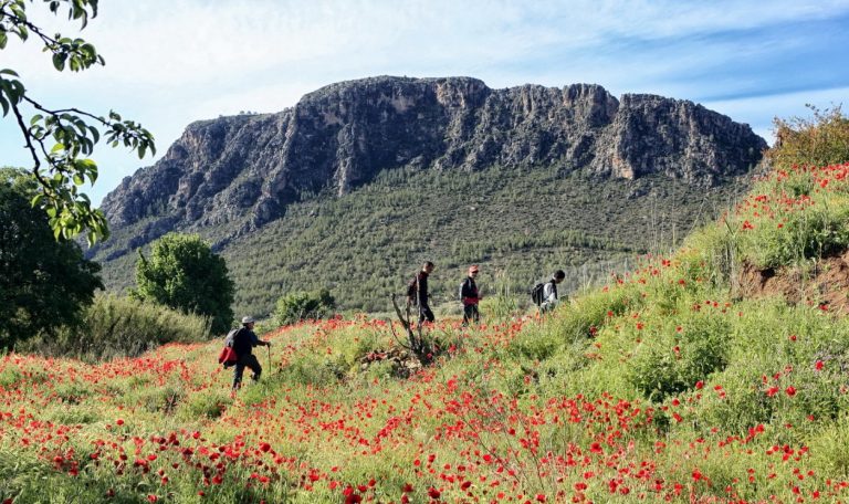 Elche de la Sierra despide, hasta después del verano, las Rutas de Senderismo de la Diputación