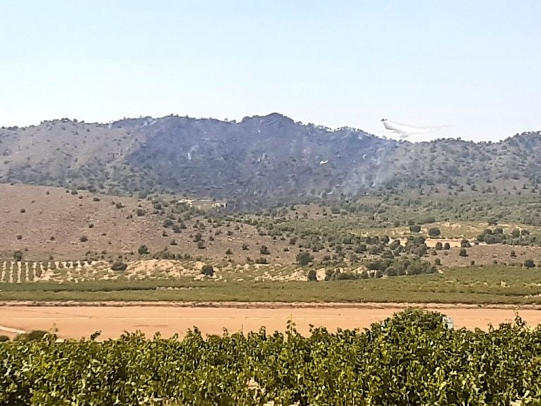Incendio en la Sierra de Abenuj