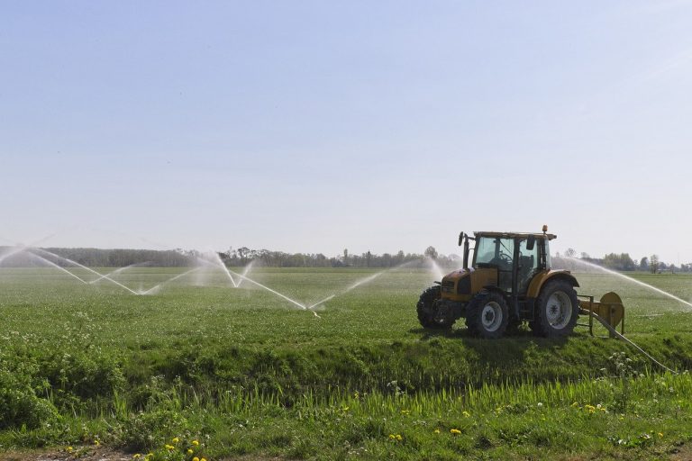 La CHS garantiza el abastecimiento y el regadío hasta el final del año hidrológico