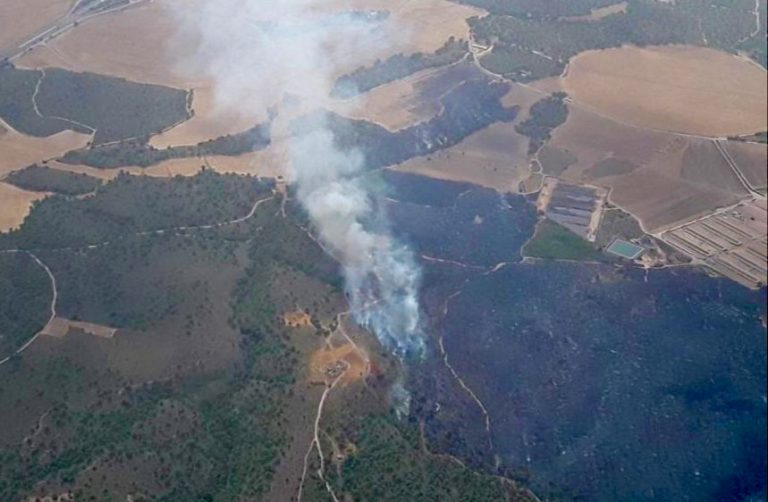 Estabilizado el incendio originado en Las Lomas del Gamonal