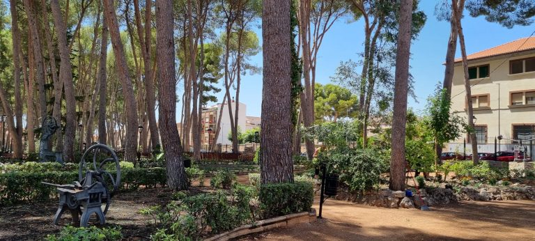Se inicia la fase de resiembra de césped y replantación de diferentes árboles
