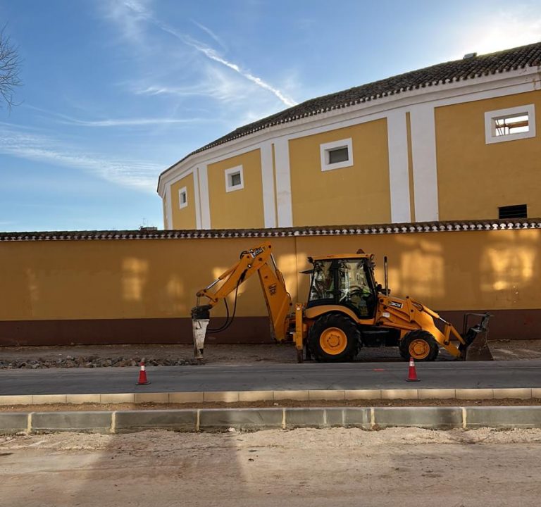 La Plataforma  “Por un Hellín más verde”, pide la plantación de árboles en las avenidas del Poeta Mariano Tomás y de La Libertad