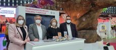 «Hellín 2 Patrimonios» vuelve al estand de Castilla-La Mancha en Fitur presentando nuevas actuaciones