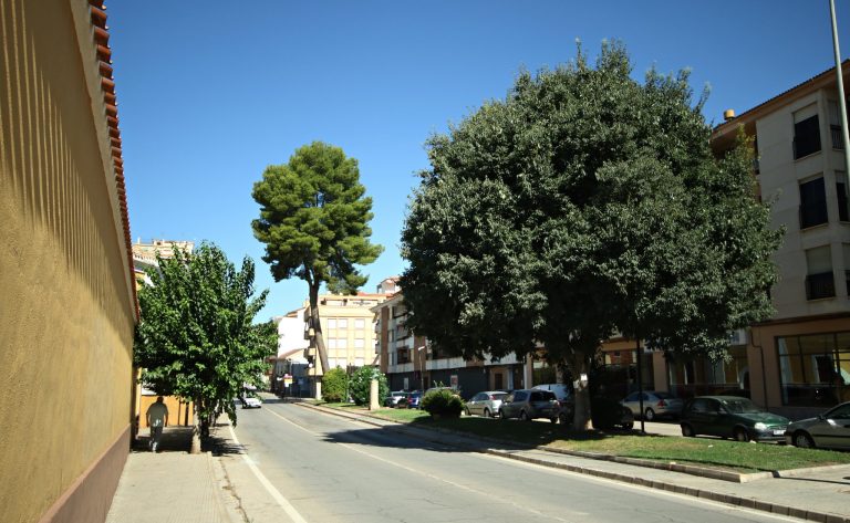 La Plataforma ciudadana “Por un Hellín Verde” respetará el informe del Colegio Oficial de Ingenieros Forestales