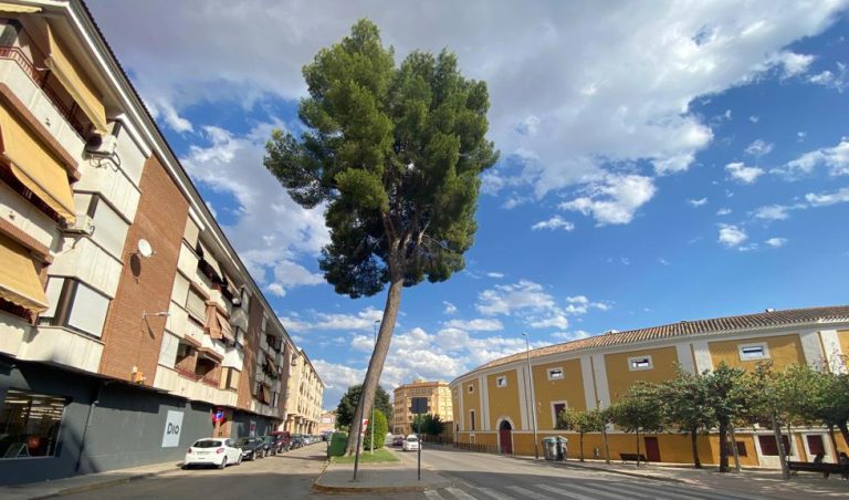 Comunicado de la Plataforma ciudadana “Por un Hellín Verde”