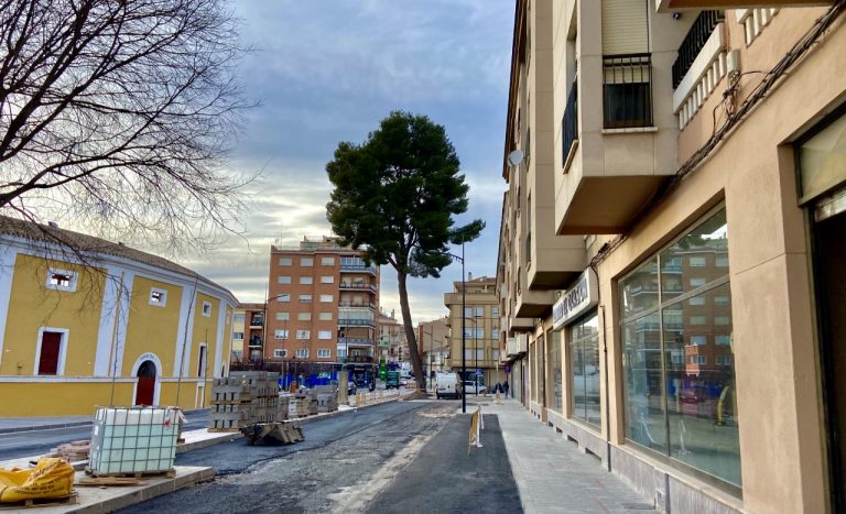 El pino de la Avenida del poeta Mariano Tomás será talado en los próximos días