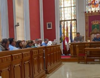 El Pleno del Ayuntamiento aprueba la tala del pino de la avenida del Poeta Mariano Tomás