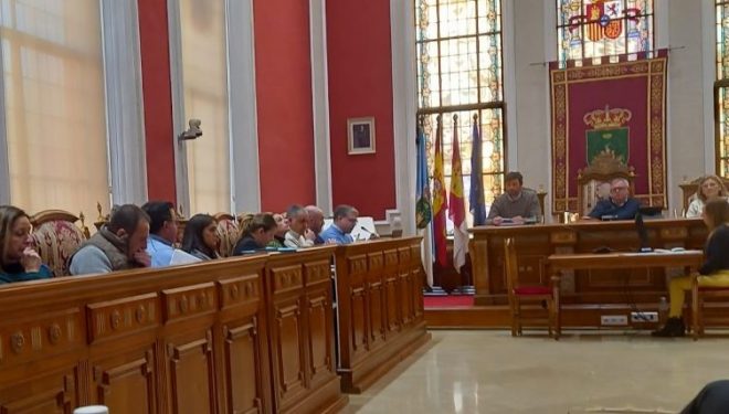 El Pleno del Ayuntamiento aprueba la tala del pino de la avenida del Poeta Mariano Tomás