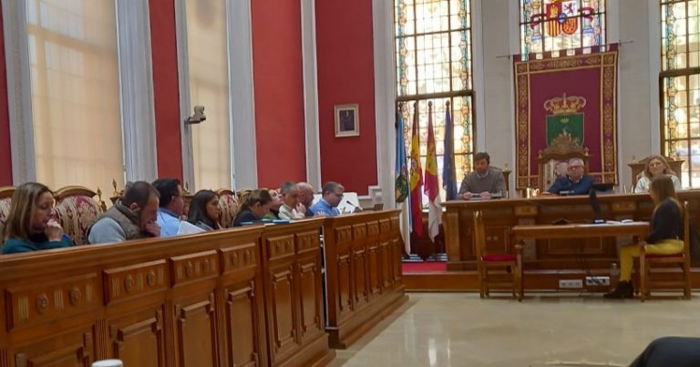 El Pleno del Ayuntamiento aprueba la tala del pino de la avenida del Poeta Mariano Tomás
