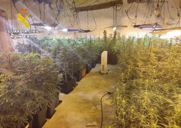 Detenida una persona por un delito contra la salud pública y desmantelada una plantación de marihuana en Isso