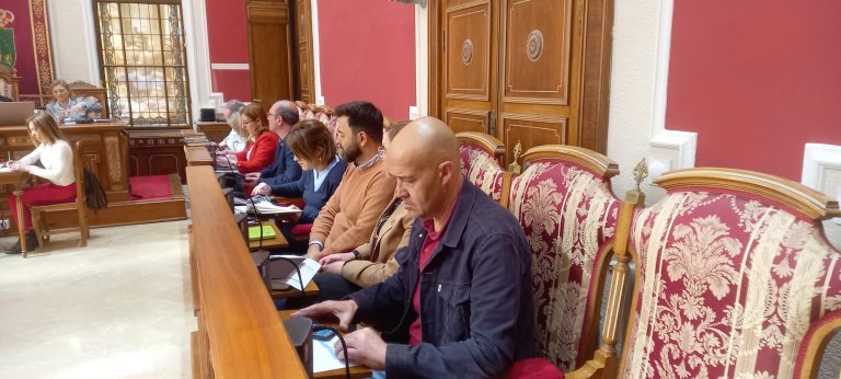 Un mínimo de dos concejales serán necesarios para optar al grupo mixto
