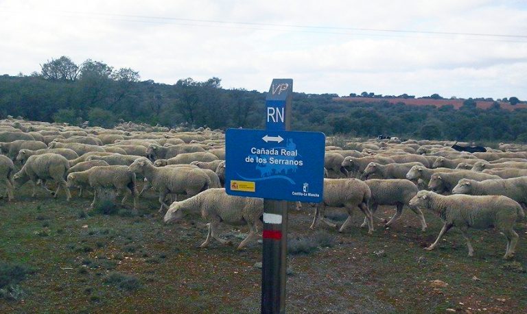 La nueva Ley de Vías Pecuarias de Castilla la Mancha creará un fondo finalista específico para su defensa, conservación y mejora de uso