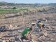 Arqueólogos en la  Loma Eugenia (Agra, Hellín), encuentran nuevas evidencias de producción agraria en época visigoda