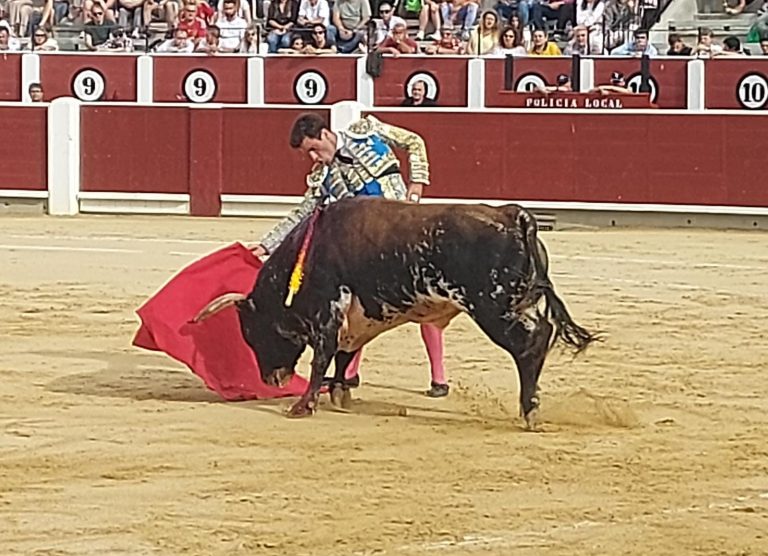 Rubén Pinar, triunfador indiscutible de la corrida de toros a beneficio de ASPRONA