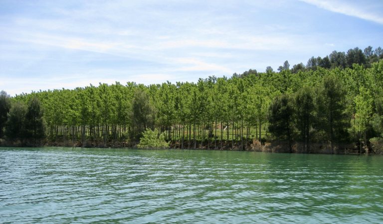 La CHS adjudica el mantenimiento de una superficie total de 140 hectáreas de terrenos forestales