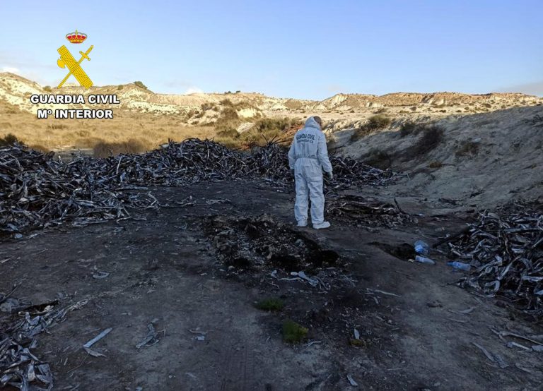 La Guardia Civil desmantela un grupo delictivo que sustraía cableado de cobre en Murcia, Alicante y Albacete