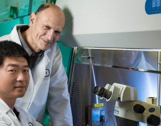 Izpisúa apunta a la vitamina C como clave de la longevidad femenina