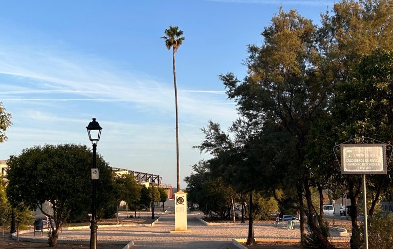 La histórica palmera de la casa solariega de los Ladrón de Guevara un ejemplo de compromiso ambiental