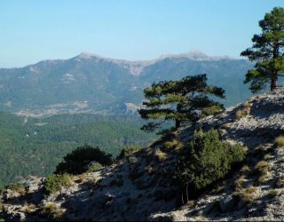 La cabecera de la cuenca del Segura recibió la mayor cantidad de lluvias durante este fin de semana