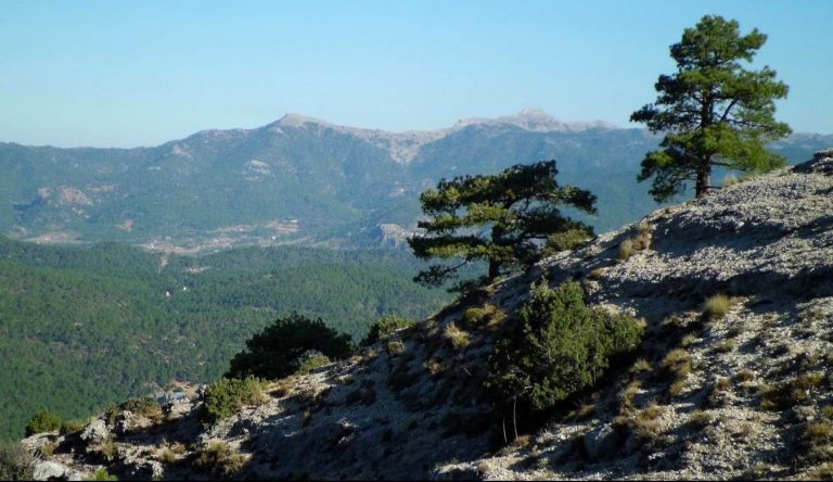 La cabecera de la cuenca del Segura recibió la mayor cantidad de lluvias durante este fin de semana