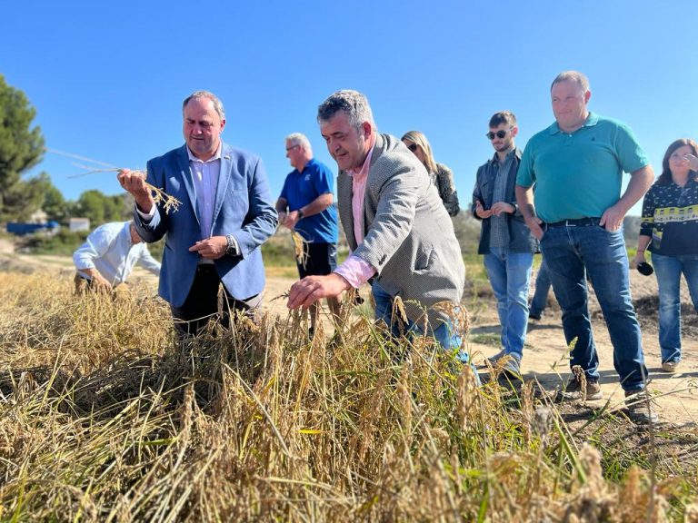 El consejero Julián Martínez Lizán destaca la vitalidad de la vega arrocera de Hellín
