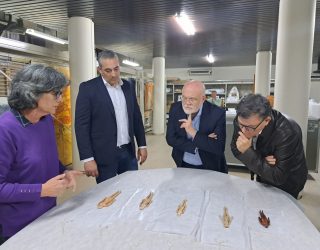 Las Muñecas Romanas de Ontur regresan al Museo Provincial de Albacete