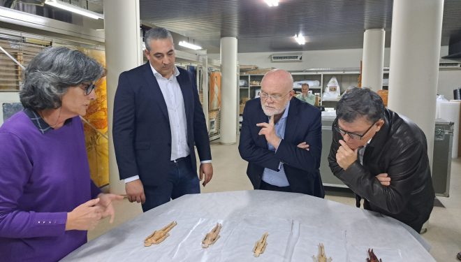 Las Muñecas Romanas de Ontur regresan al Museo Provincial de Albacete