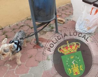 La Policía Local encuentra al autor del abandono de un perro en Hellín