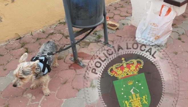 La Policía Local encuentra al autor del abandono de un perro en Hellín