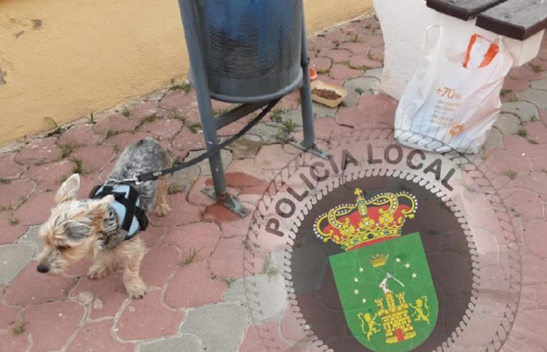 La Policía Local encuentra al autor del abandono de un perro en Hellín