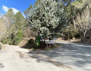 Un fallecido y un herido tras salirse de la carretera en Yeste