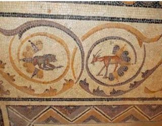 Hellín quiere recuperar su mosaico romano