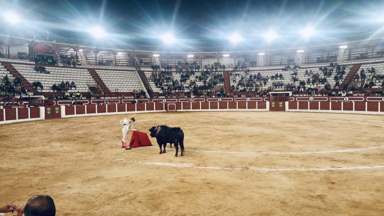 Una muy pobre entrada, con un cartel de toreros jóvenes con ganas de triunfo