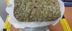 Intervenidos en Tobarra 200 gramos de marihuana