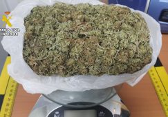 Intervenidos en Tobarra 200 gramos de marihuana