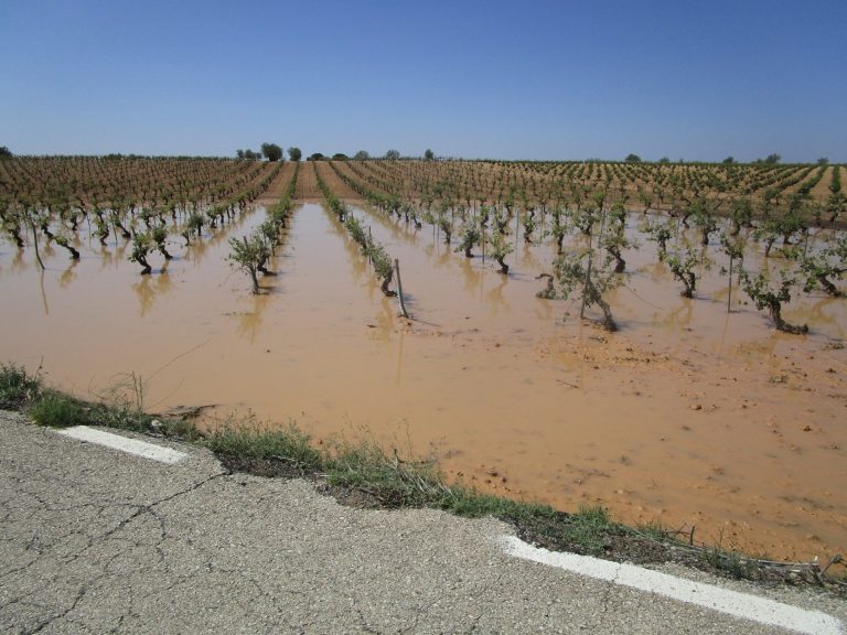 Últimos días para contratar opciones del módulo P en seguros agrarios para explotaciones frutícolas y vitícolas