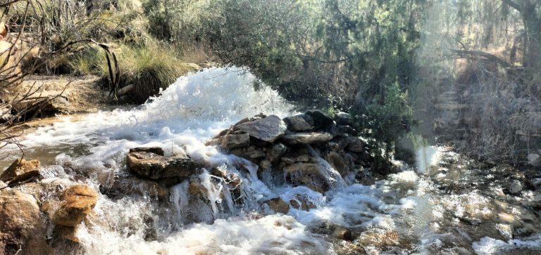 CHS recibe la Declaración de Impacto Ambiental (DIA) favorable para la apertura de los pozos de sequía de Hellín