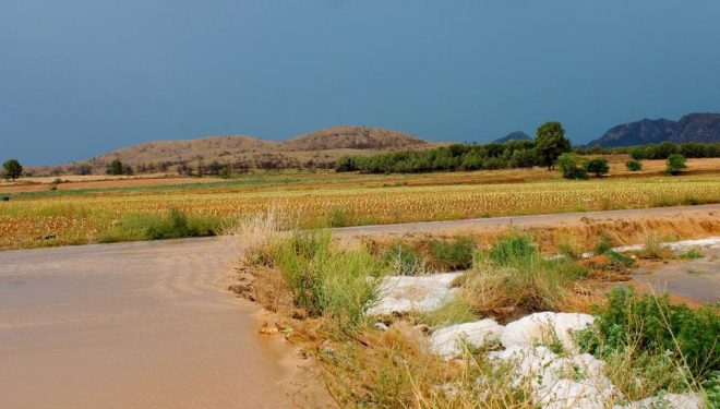 Las fuertes lluvias causan daños significativos en el campo y la agricultura de Hellín y sus pedanías