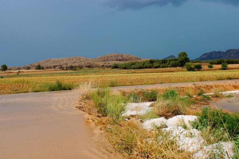 Las fuertes lluvias causan daños significativos en el campo y la agricultura de Hellín y sus pedanías