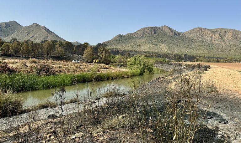 El incendio forestal de Hellín estabilizado durante la madrugada