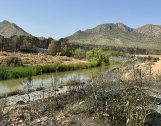 El incendio forestal de Hellín estabilizado durante la madrugada