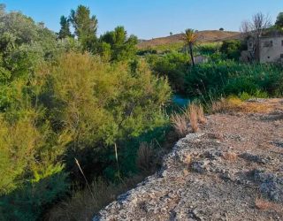 Las aguas termales y mineromedicinales del Azaraque riegan las lechugas de la finca agrícola