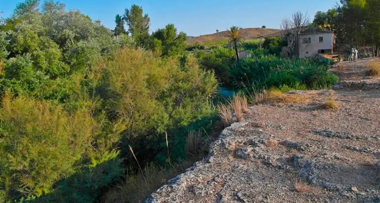 Las aguas termales y mineromedicinales del Azaraque riegan las lechugas de la finca agrícola