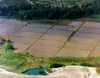 La Hacienda del Azaraque