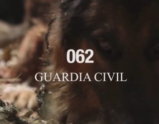 La Guardia Civil investiga a un hombre de Hellín por maltrato animal con resultado de muerte por inanición