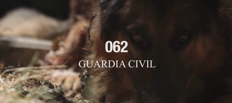 La Guardia Civil investiga a un hombre de Hellín por maltrato animal con resultado de muerte por inanición