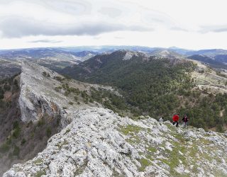 Estreno de la 1ª Travesía de la Almenara y Los Gallineros organizada por la Diputación de Albacete